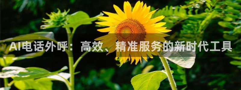 AI电话外呼：高效、精准服务的新时代工具