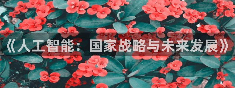 《人工智能：国家战略与未来发展》