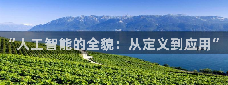 “人工智能的全貌：从定义到应用”