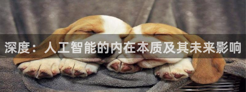 深度：人工智能的内在本质及其未来影响
