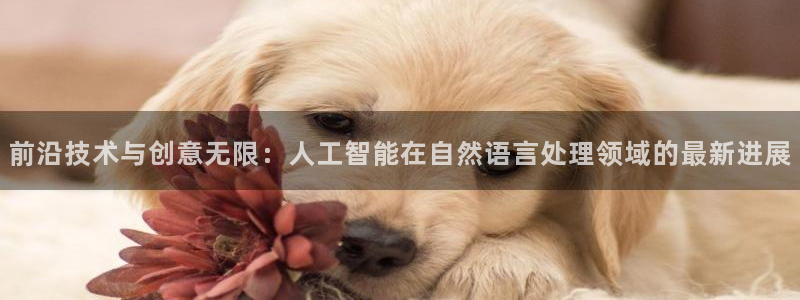 前沿技术与创意无限：人工智能在自然语言处理领域的最新进展