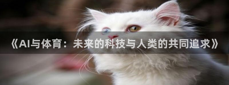 《AI与体育：未来的科技与人类的共同追求》