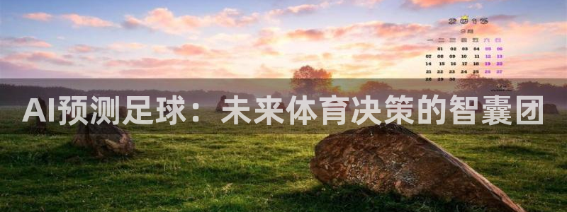 AI预测足球：未来体育决策的智囊团