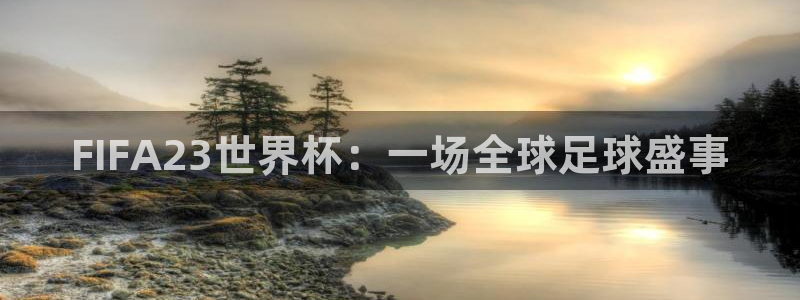 FIFA23世界杯：一场全球足球盛事