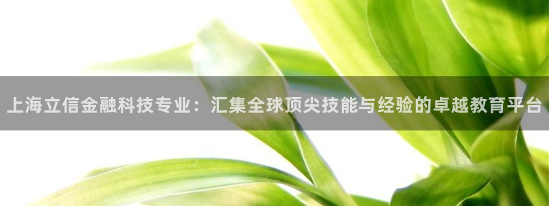 上海立信金融科技专业：汇集全球顶尖技能与经验的卓越教育平台