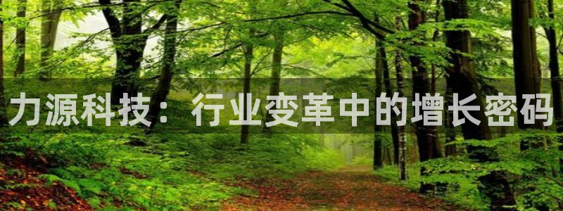 力源科技：行业变革中的增长密码