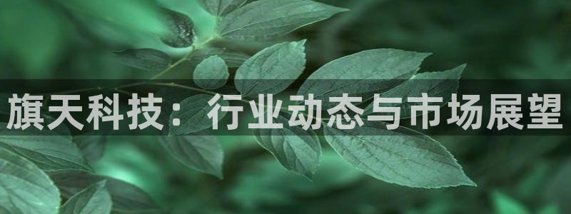 旗天科技：行业动态与市场展望