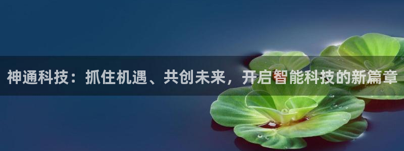 神通科技：抓住机遇、共创未来，开启智能科技的新篇章
