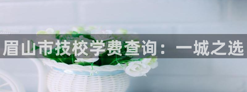 眉山市技校学费查询：一城之选