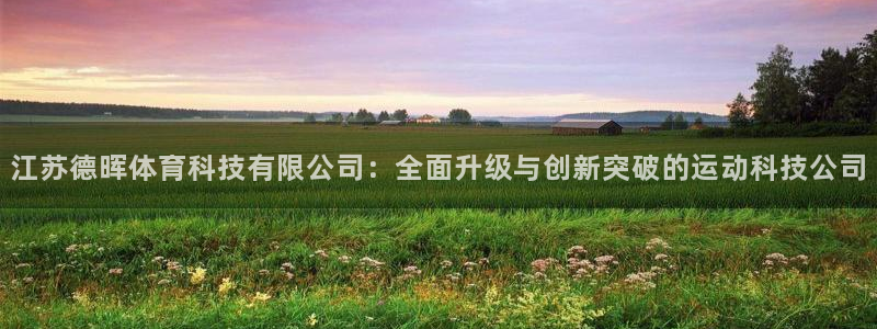 江苏德晖体育科技有限公司：全面升级与创新突破的运动科技公司