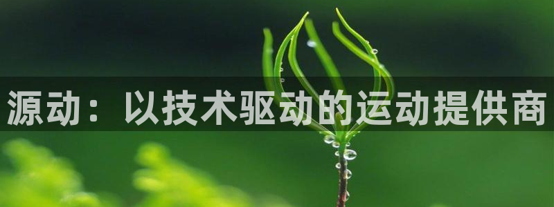 源动：以技术驱动的运动提供商