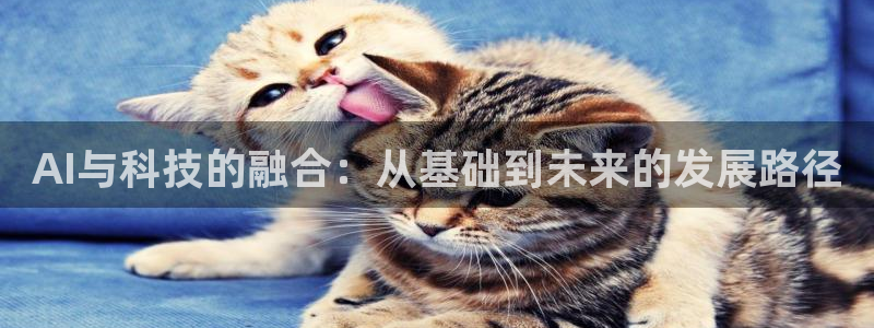 AI与科技的融合：从基础到未来的发展路径