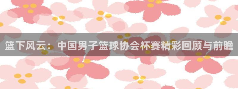 篮下风云：中国男子篮球协会杯赛精彩回顾与前瞻