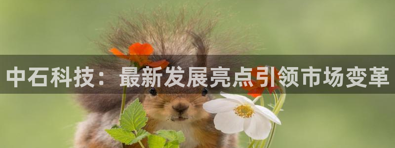 中石科技：最新发展亮点引领市场变革