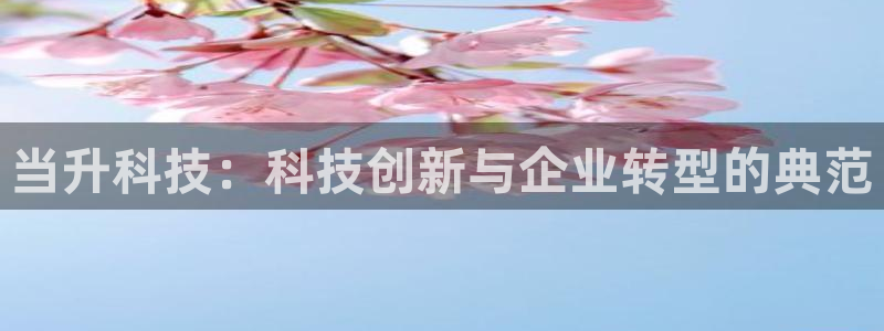 当升科技：科技创新与企业转型的典范