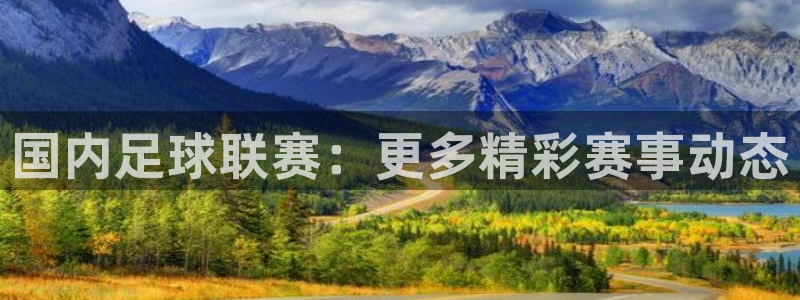 国内足球联赛：更多精彩赛事动态