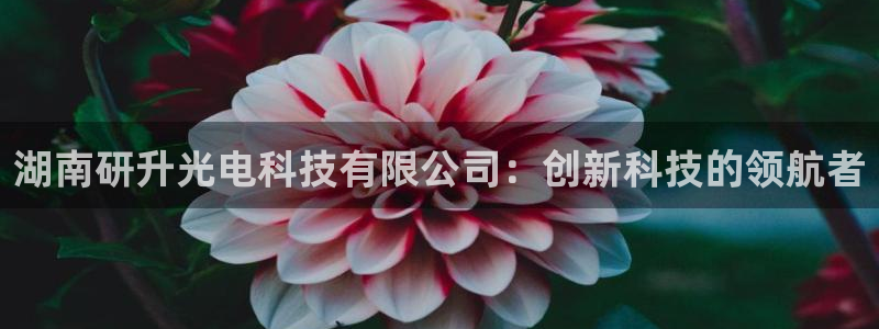 湖南研升光电科技有限公司：创新科技的领航者