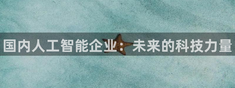 国内人工智能企业：未来的科技力量