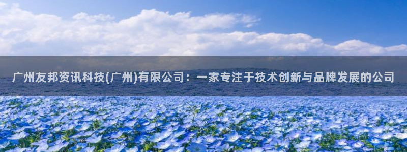 广州友邦资讯科技(广州)有限公司：一家专注于技术创新与品牌发展的公司