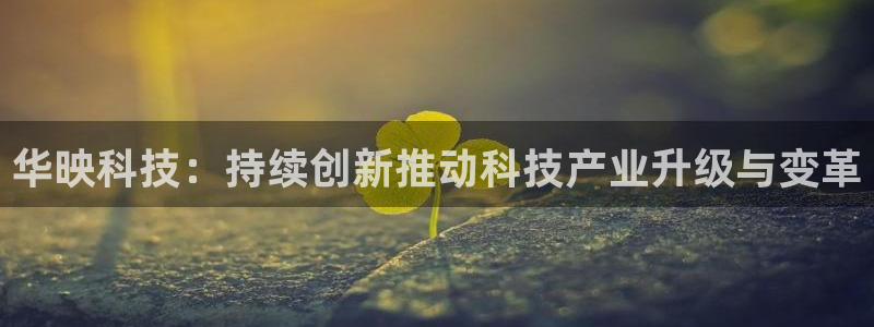 华映科技：持续创新推动科技产业升级与变革