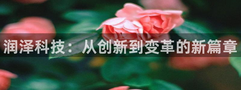 润泽科技：从创新到变革的新篇章