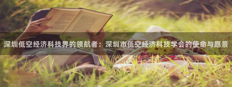 深圳低空经济科技界的领航者：深圳市低空经济科技学会的使命与愿景