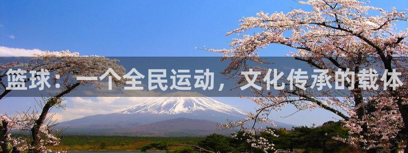 篮球：一个全民运动，文化传承的载体