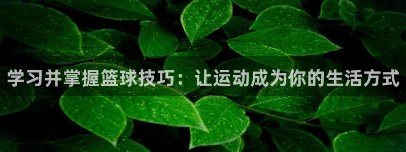 学习并掌握篮球技巧：让运动成为你的生活方式