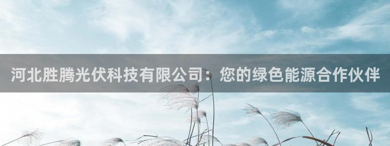 河北胜腾光伏科技有限公司：您的绿色能源合作伙伴
