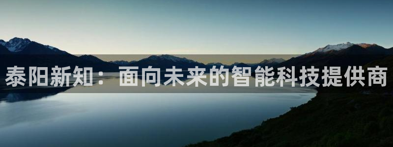 泰阳新知：面向未来的智能科技提供商
