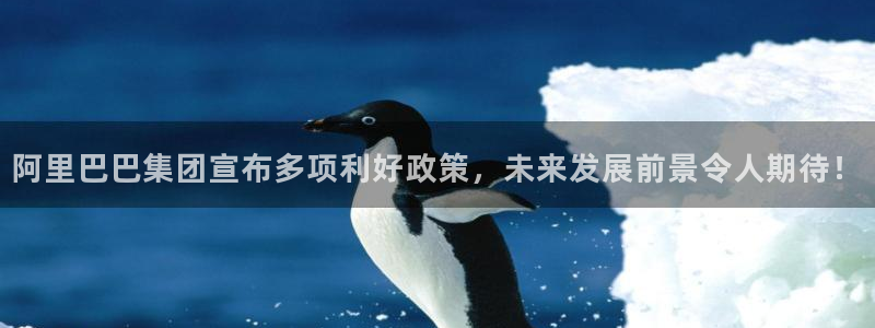 阿里巴巴集团宣布多项利好政策，未来发展前景令人期待！
