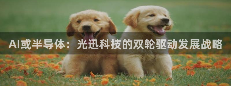 AI或半导体：光迅科技的双轮驱动发展战略