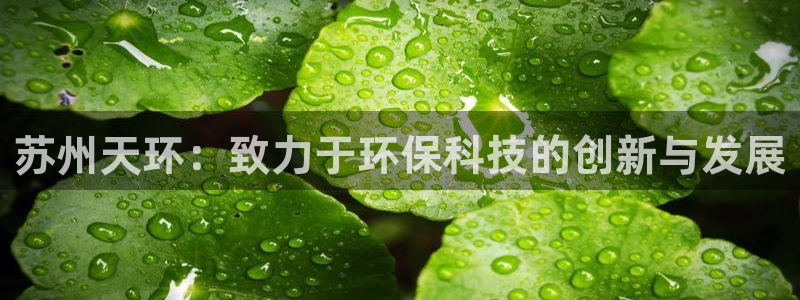 苏州天环：致力于环保科技的创新与发展
