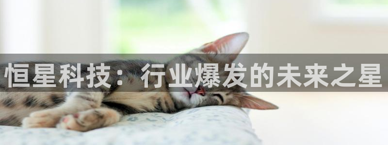 恒星科技：行业爆发的未来之星