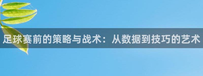 足球赛前的策略与战术：从数据到技巧的艺术