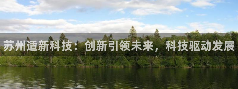 苏州适新科技：创新引领未来，科技驱动发展
