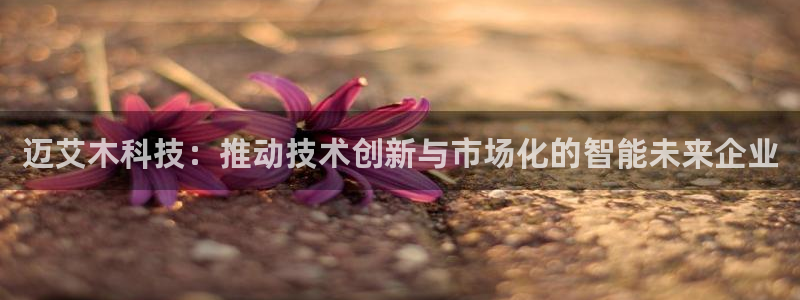迈艾木科技：推动技术创新与市场化的智能未来企业