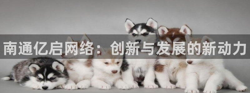 南通亿启网络：创新与发展的新动力