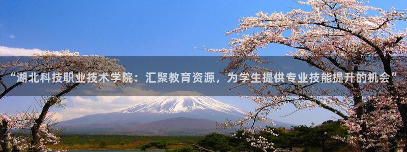 “湖北科技职业技术学院：汇聚教育资源，为学生提供专业技能提升的机会”