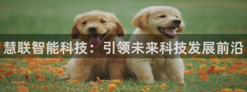 慧联智能科技：引领未来科技发展前沿