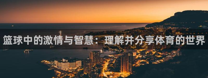 篮球中的激情与智慧：理解并分享体育的世界