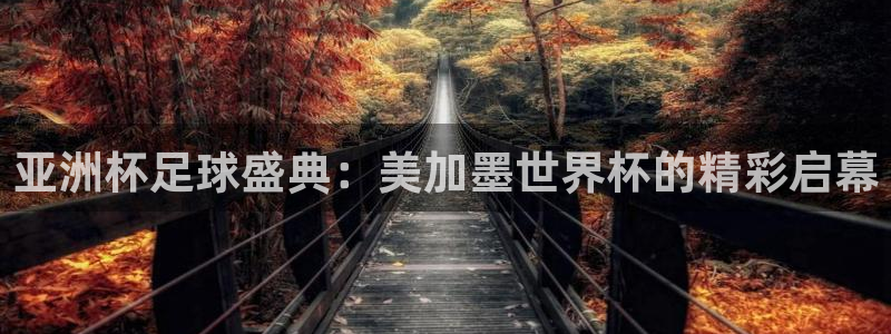 亚洲杯足球盛典：美加墨世界杯的精彩启幕