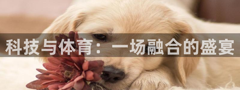 科技与体育：一场融合的盛宴