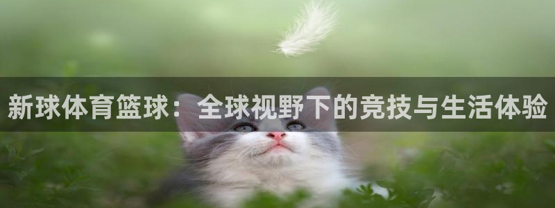 新球体育篮球：全球视野下的竞技与生活体验