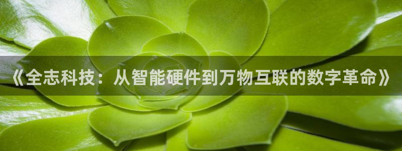 《全志科技：从智能硬件到万物互联的数字革命》