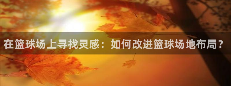 在篮球场上寻找灵感：如何改进篮球场地布局？