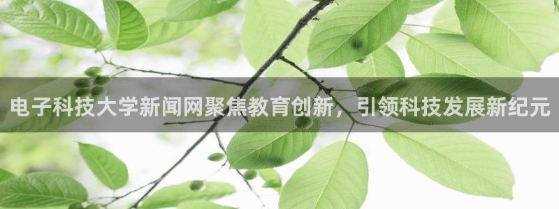 电子科技大学新闻网聚焦教育创新，引领科技发展新纪元