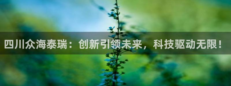 四川众海泰瑞：创新引领未来，科技驱动无限！