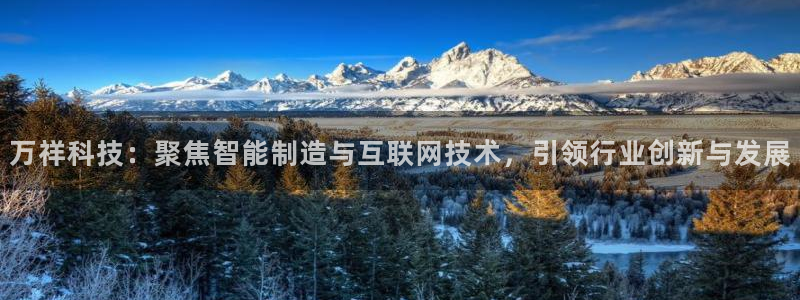 万祥科技：聚焦智能制造与互联网技术，引领行业创新与发展
