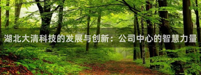 湖北大清科技的发展与创新：公司中心的智慧力量